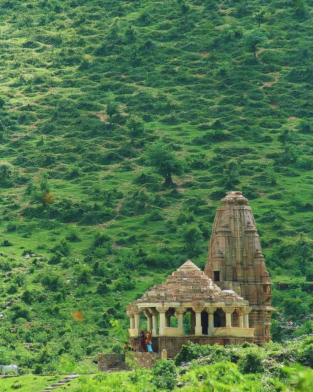 Guide Francophone en Inde - Voyage en Inde avec Bhanwar - Séjour Inde sur mesure avec une agence locale