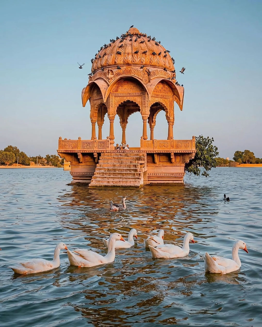 Guide Francophone en Inde - Voyage en Inde avec Bhanwar - Séjour Inde sur mesure avec une agence locale