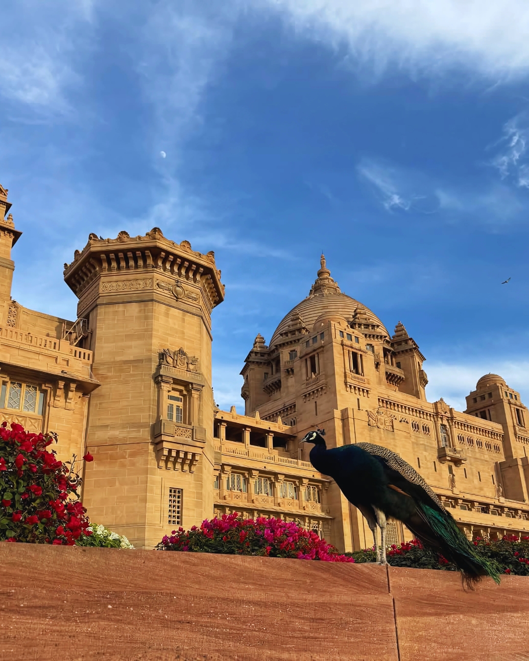 Guide Francophone en Inde - Voyage en Inde avec Bhanwar - Séjour Inde sur mesure avec une agence locale